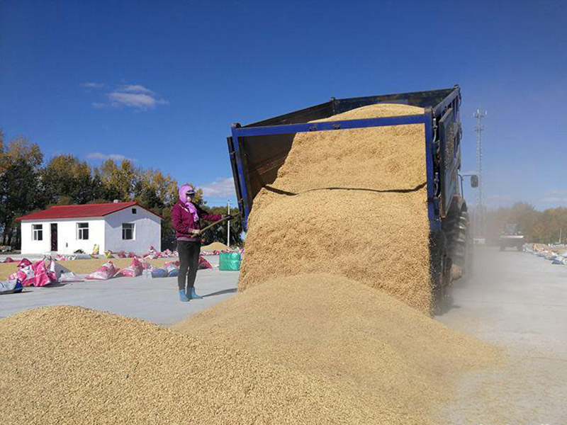 糧食容易受到哪些污染 糧食容易受到哪些污染