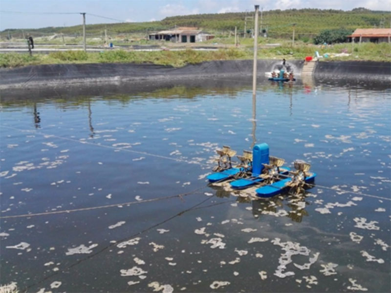 水中亞硝酸鹽含量過高對養(yǎng)殖有什么影響？