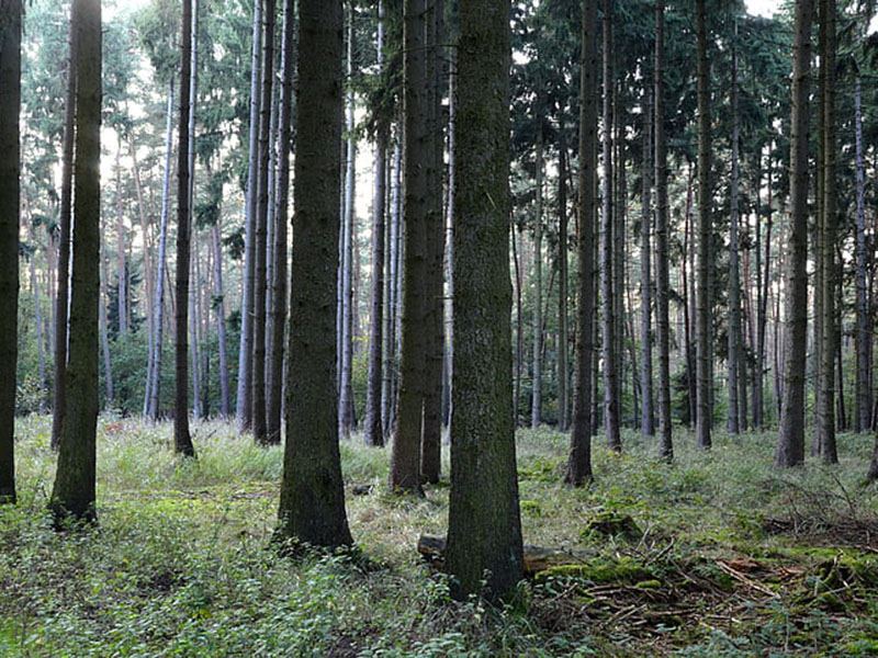 負(fù)氧離子監(jiān)測(cè)系統(tǒng)可實(shí)時(shí)監(jiān)控空氣質(zhì)量 負(fù)氧離子監(jiān)測(cè)系統(tǒng)可實(shí)時(shí)監(jiān)控空氣質(zhì)量