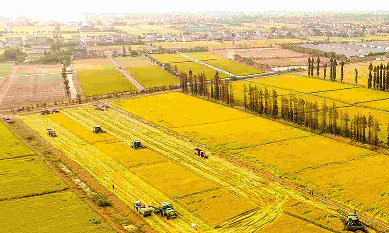 蔬菜農(nóng)藥殘留檢測(cè)儀 蔬菜農(nóng)藥殘留檢測(cè)儀