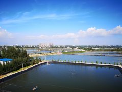 如何加強水產養殖中藥物殘留的控制