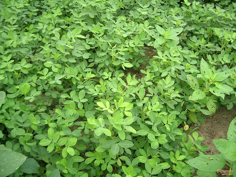 土壤水分測(cè)量?jī)x 土壤水分測(cè)量?jī)x