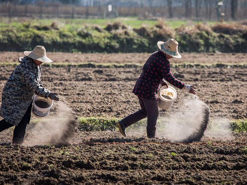 測(cè)土配方施肥儀提高肥料利用率 13.jpg