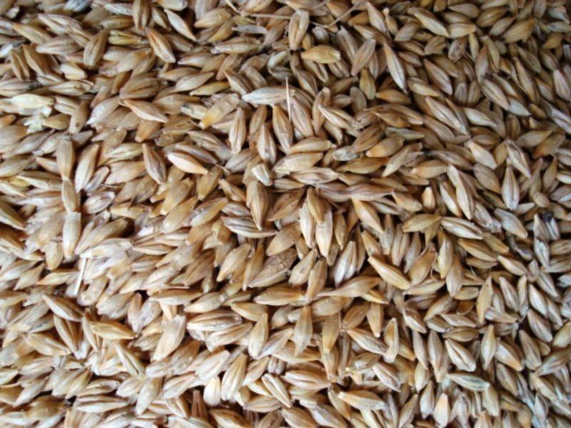 糧食重金屬檢測儀,滿足現(xiàn)場檢測需求 糧食重金屬檢測儀,滿足現(xiàn)場檢測需求