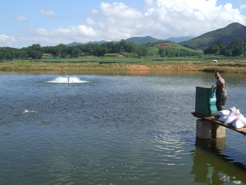水產養殖檢測儀，為水產提供優良的生長環境